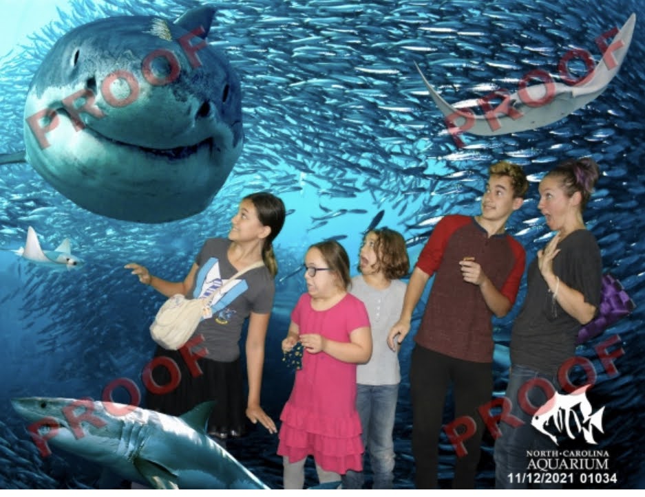 aquarium